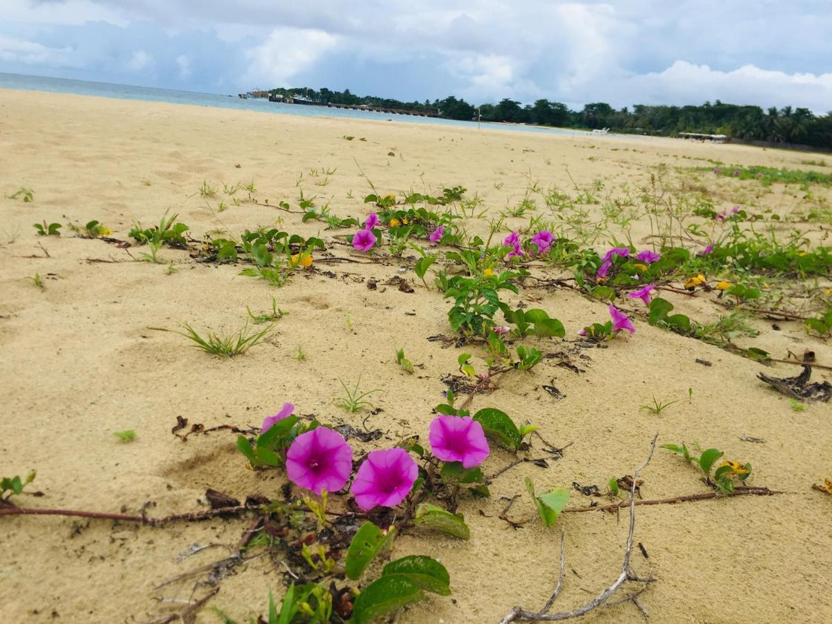 Pic-Nic Beach Corn Island Little Corn Island Exterior photo
